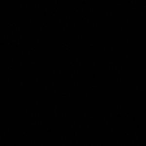 Meet your Posher, Hunter